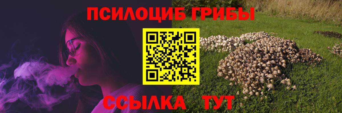Галлюциногенные грибы мицелий  Вход с VPN  Дзержинск  Псилоцибиновые грибы Psilocybine cubensis 